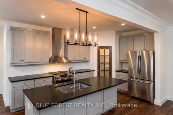 Other - 199 Patrick Street, Thames Centre, ON N0M2P0 Photo 3