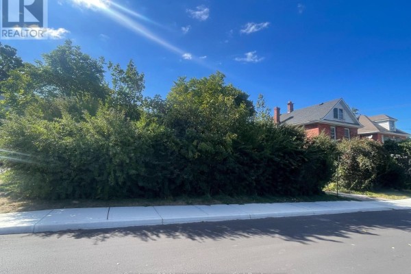 199 Wellington Street N, Woodstock, ON N4S6R7 Photo 3