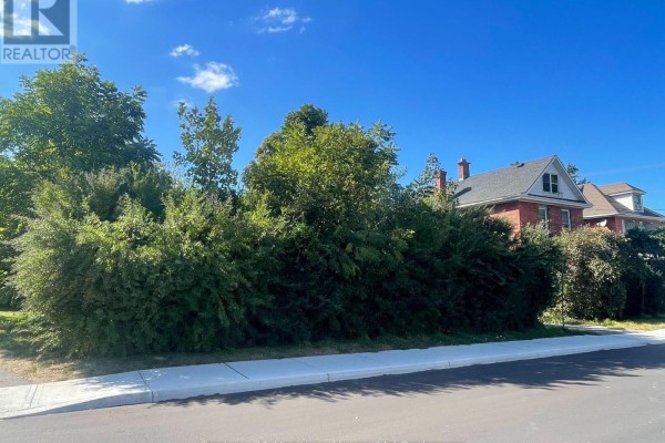 199 Wellington Street N, Woodstock, ON N4S6R7 Photo 5