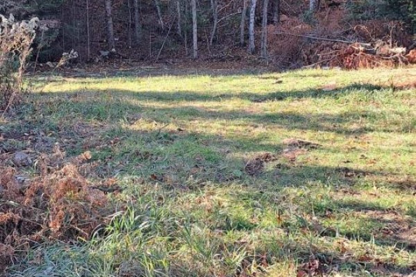 1992 Smith Road, Frontenac, ON, photo 3
