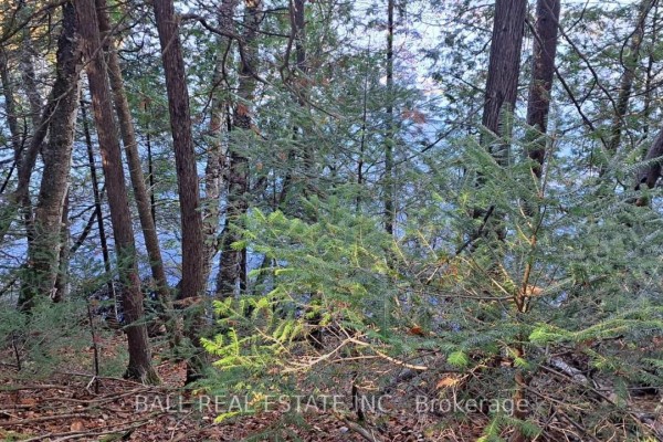 1992 Smith Road, Frontenac, ON K0H1C0 Photo 5