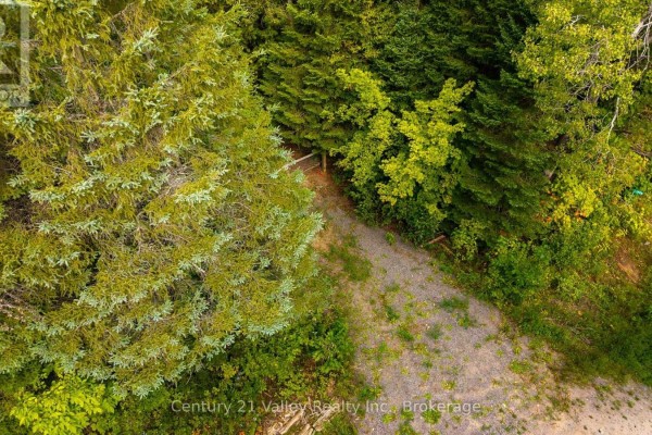 1998 Matawatchan Road, Greater Madawaska, ON K0J2R0 Photo 2