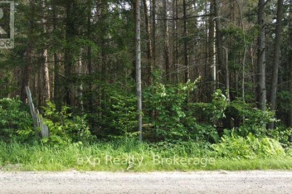 1a   Pt Lt 12 Con 2 Boundary Road, Parry Sound Remote Area, ON P0A1X0 Photo 4