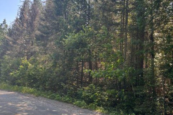 1a   Pt Lt 12 Con 2 Boundary Road, Parry Sound Remote Area, ON P0A1X0 Photo 5