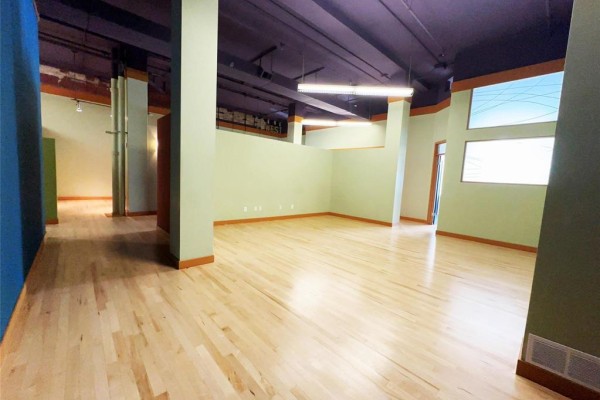 1a 89 Princess Street Street, Winnipeg, MB R3B1K6 Photo 4