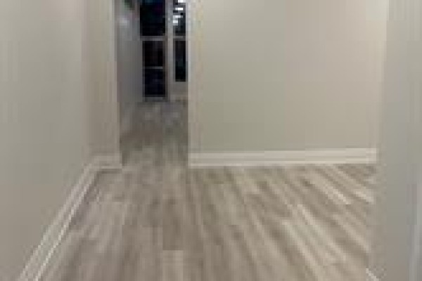 1b - 66 Albert Street, Blandford Blenheim, ON, photo 3