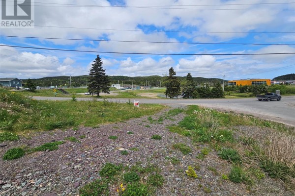1b Harris Drive, Marystown, NL A0E2M0 Photo 4