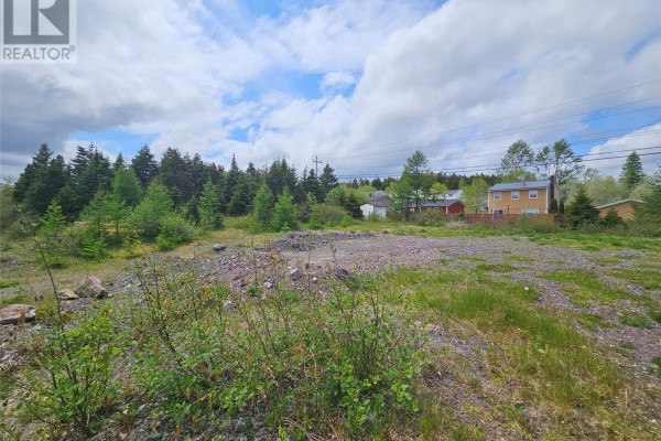 1b Harris Drive, Marystown, NL A0E2M0 Photo 5