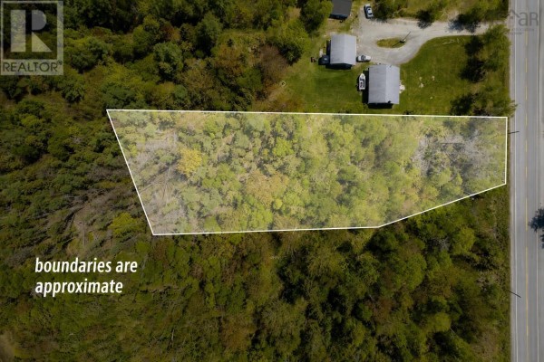 1b Seaside Drive, Gardiner Mines, NS B1H5K2 Photo 2