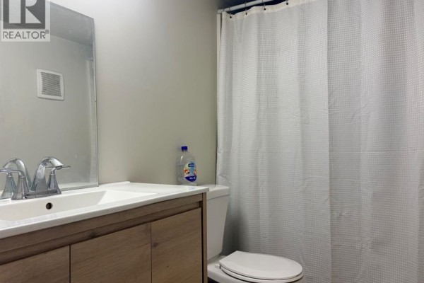 A bathroom with a modern vanity, sink, toilet, and white shower curtain. - 2, 162 Hampshire Road, Hinton