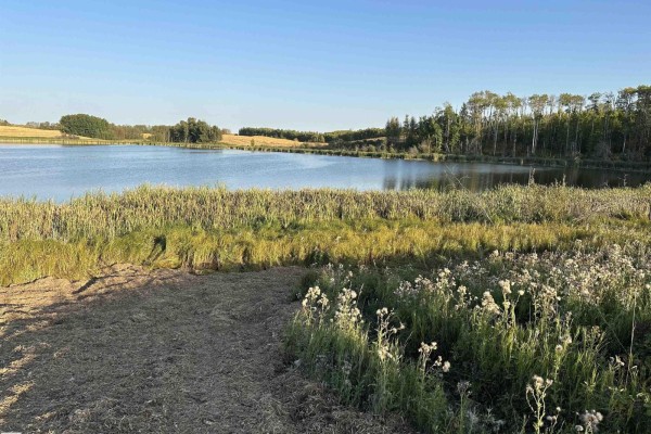 View of a tranquil lake with cattails and wildflowers along the shoreline, surrounded by trees. - 2, 52313 Twp Rd 24, Rural Parkland County