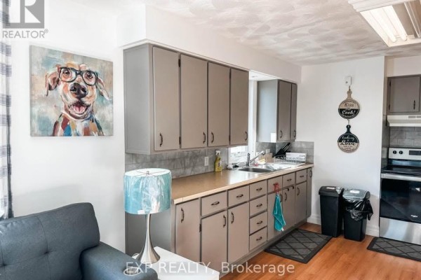 Kitchen with gray cabinets, light brown countertops, stainless steel sink, and a decorative painting of a dog. - 2 - 4564 Ste Catherine Street, The Nation