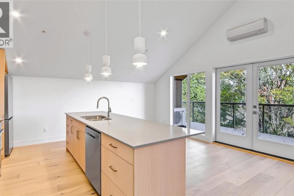 Kitchen island with sink and dishwasher, overlooking dining area and patio. - 2 1721 Adanac St, Victoria