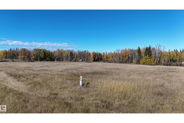 #2 49505 Rr 80, Rural Brazeau County, AB T7A1T1 Photo 2