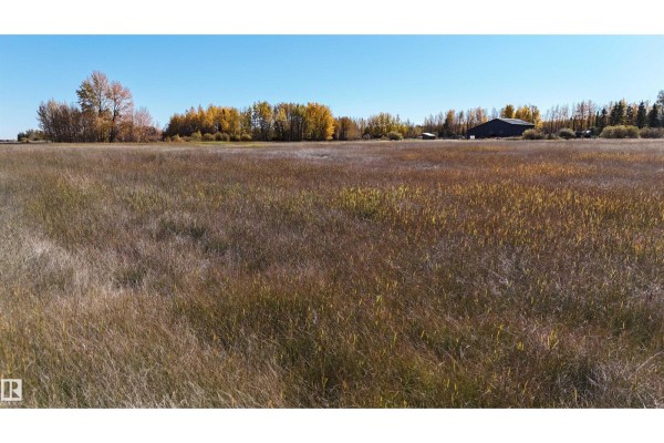 #2 49505 Rr 80, Rural Brazeau County, AB T7A1T1 Photo 4