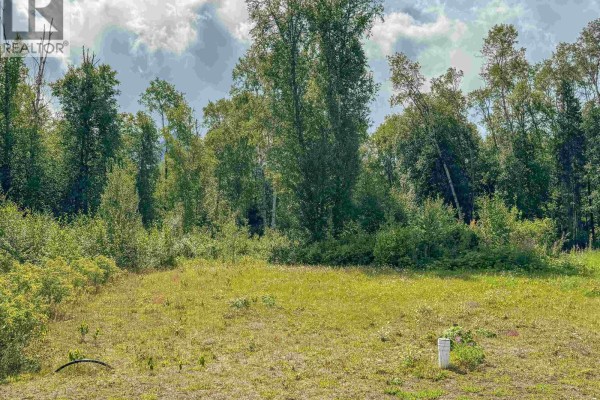 2 5115 Swannell Drive, Hazelton, BC V0J1Y1 Photo 2