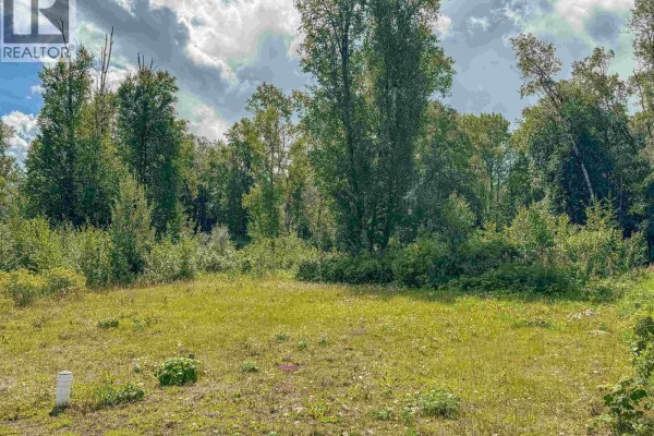 2 5115 Swannell Drive, Hazelton, BC V0J1Y1 Photo 3