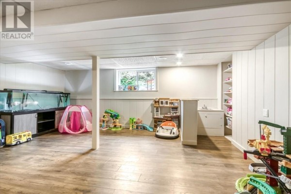 Finished basement with toys, aquarium, and sink - 2 Adam Lively