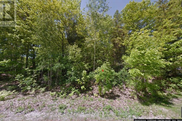 2 Birchwood Trail, Wasaga Beach, ON L9Z1B3 Photo 2