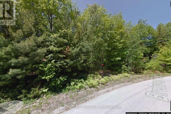 2 Birchwood Trail, Wasaga Beach, ON L9Z1B3 Photo 4