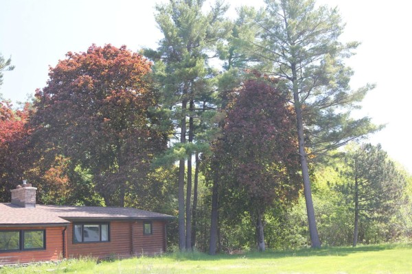 2 Boul. De Lucerne, Gatineau, QC, photo 3