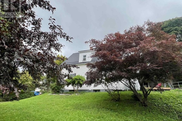 View of the white siding house through dark purple foliage of a mature maple tree. - 2 Central Avenue, Trenton