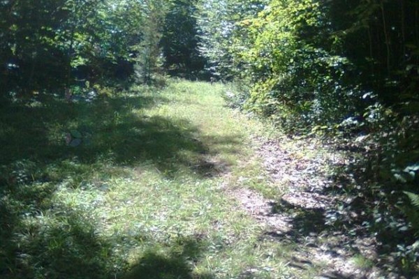 2 Ch. Du Rang 11, Litchfield, QC J0X1K0 Photo 2