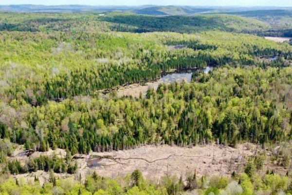 2 Ch. Du Rang 11, Litchfield, QC J0X1K0 Photo 5