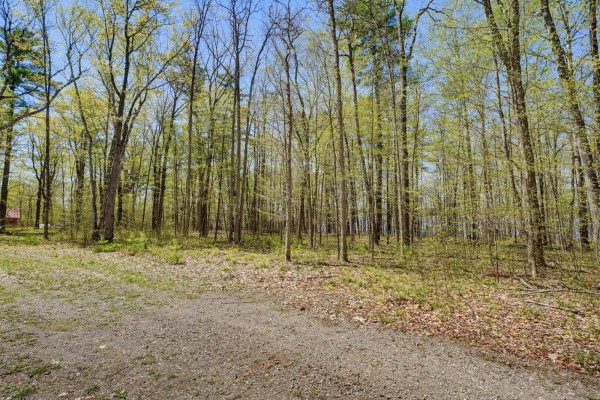 2 Ch. Harmony Bay, L Ile Du Grand Calumet, QC J0X1J0 Photo 5