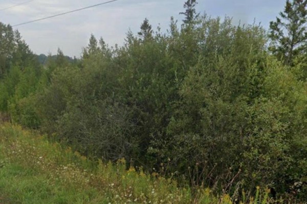 2 Cherry Hill Road, Northern Bruce Peninsula, ON N0H1W0 Photo 2