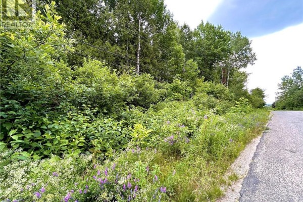 2 Hectares Kanes Lane, Sunny Corner, NB E9E1H7 Photo 2