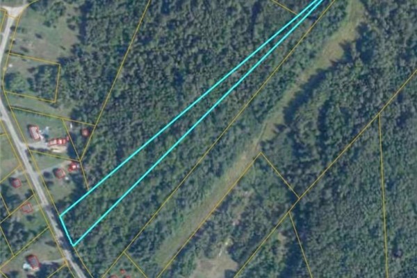 2 Hectares Kanes Lane, Sunny Corner, NB E9E1H7 Photo 3
