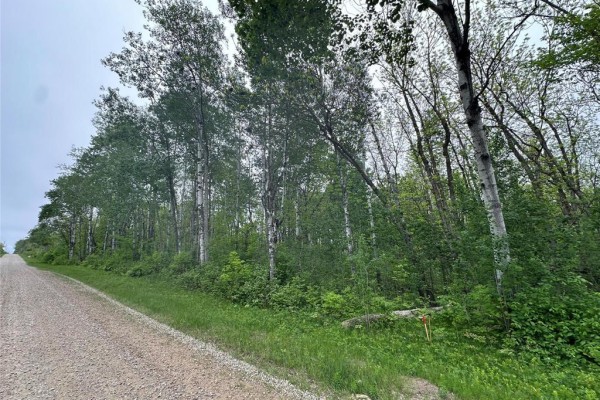 2 Ironwood Point Road, Belair, MB R0E0E0 Photo 2