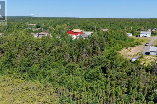 2 King's Lane, Georges Brook, NL A5A0J9 Photo 3