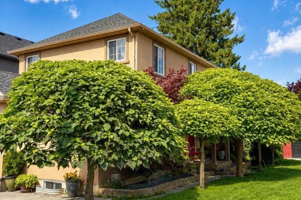 2 Leeson Street, St  Catharines, ON, photo 3