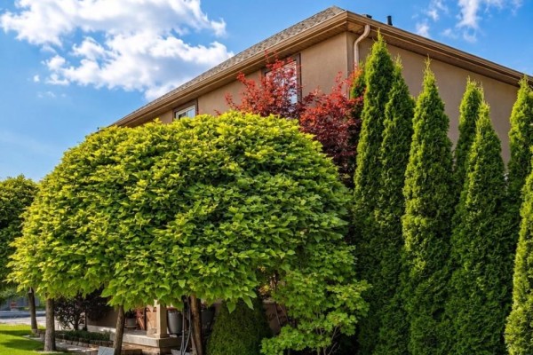 Front view of the home highlighting the entrance, stone pathway, and surrounding greenery. - 2 Leeson Street, St  Catharines