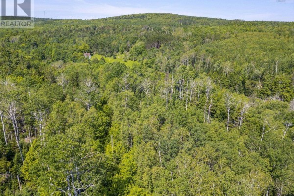 2 Macpherson Road, Macphersons Mills, NS B2H5C8 Photo 5
