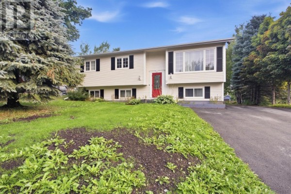 2 Mattern Place, Gander
