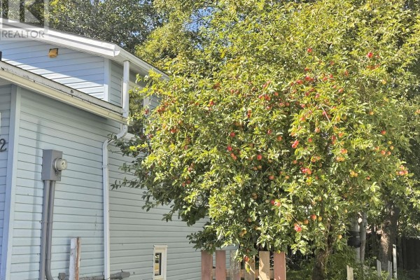 Side view of the light blue house showing vinyl siding and a mature tree with apples. - 2 Mcmaster Place, Mount Pearl