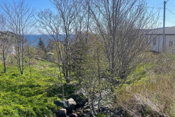 Overgrown green vegetation and trees frame a distant view of houses and the ocean under a blue sky. - 2 Moore's Valley Road, Torbay