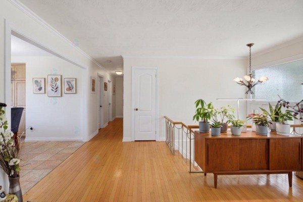 Hallway with hardwood floors leading to several doors, next to a railing with plants on a credenza. - 2 Rue De Foix, Gatineau