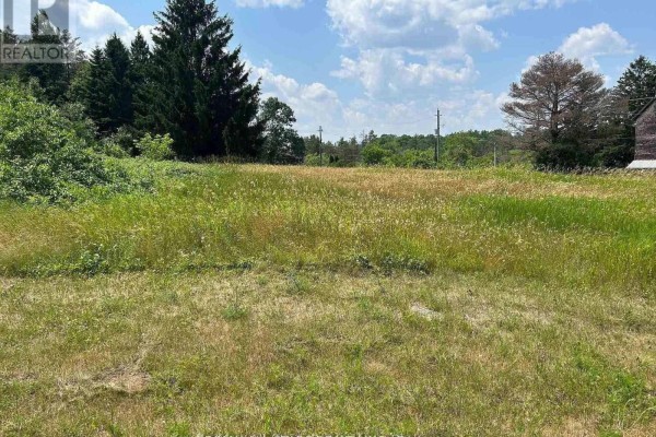 2 Thomas Street, Kawartha Lakes, ON L0A1K0 Photo 2