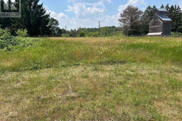 2 Thomas Street, Kawartha Lakes, ON L0A1K0 Photo 3