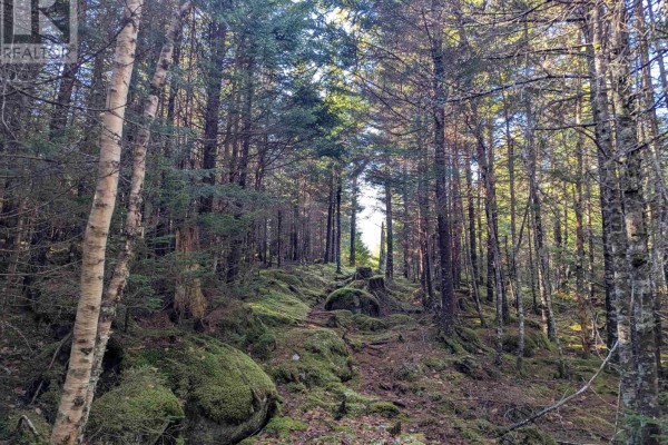 2-b 91 Old Halifax Road, Glen Haven, NS B3Z2W8 Photo 2