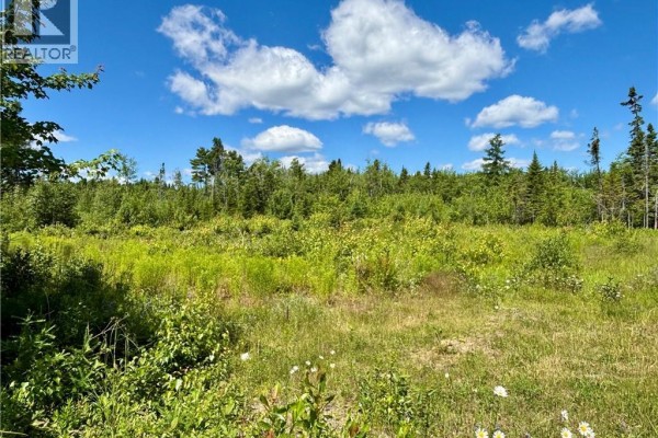 2.24 Acres Mcleod Street, Neguac, NB E9G0B5 Photo 2