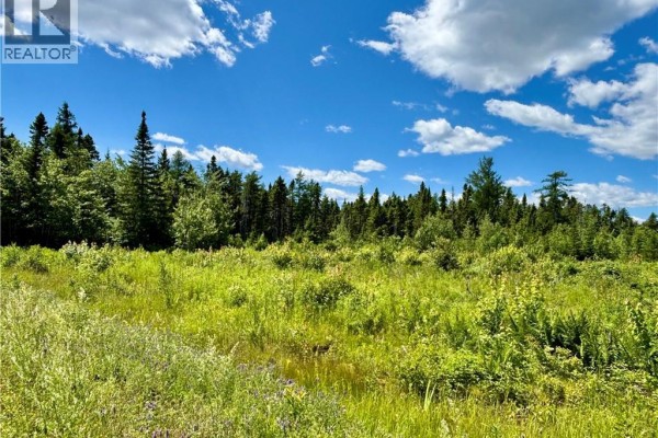 2.24 Acres Mcleod Street, Neguac, NB E9G0B5 Photo 4