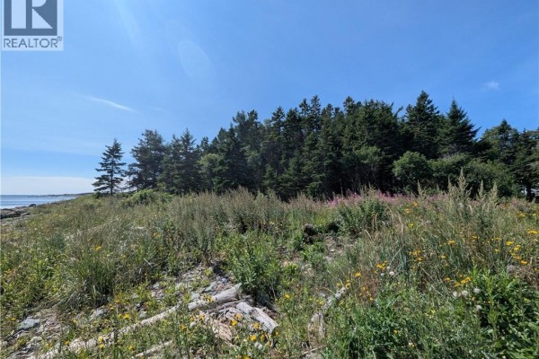 2.3 Acres Route 134, Petit Rocher Nord, NB, photo 2