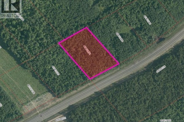 2.47 Acres Route 8, Bartibog, NB E1V6M8 Photo 2