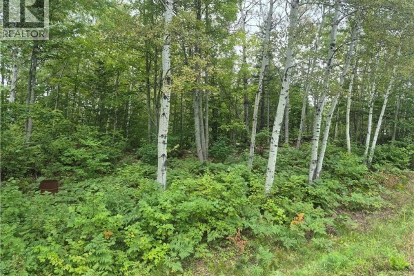 2.6 Acres Nicholas Denys, Nicholas Denys, NB E2A3Y4 Photo 3