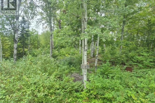 2.6 Acres Nicholas Denys, Nicholas Denys, NB E2A3Y4 Photo 4